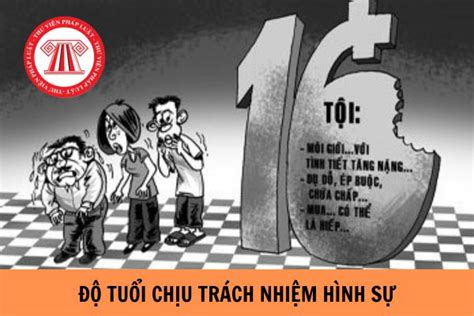 Chị Rể Mang Thai, Em Chồng Phải Chịu Trách Nhiệm .